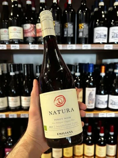 natura pinot nero cile bio.webp